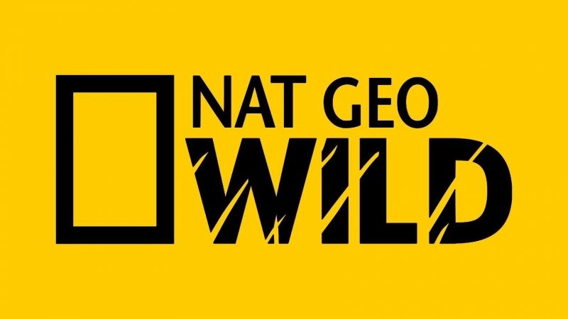 Le mamme di Wild: Guida TV  - TV Sorrisi e Canzoni