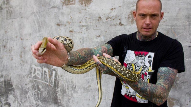 Snakes In The City: Guida TV  - TV Sorrisi e Canzoni