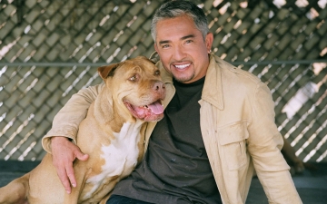Cesar Millan Best of: Guida TV  - TV Sorrisi e Canzoni