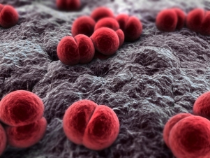 Rabbia: la furia del virus: Guida TV  - TV Sorrisi e Canzoni