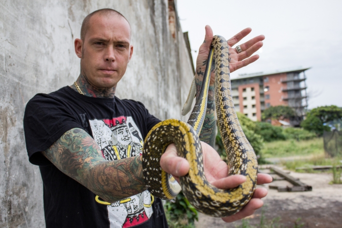 Snakes In The City: Guida TV  - TV Sorrisi e Canzoni