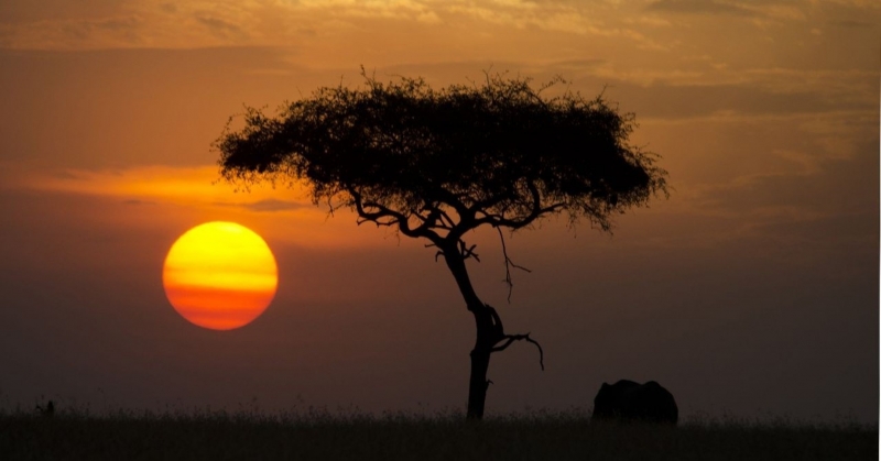 I Tesori Nascosti Dell'Africa: Guida TV  - TV Sorrisi e Canzoni