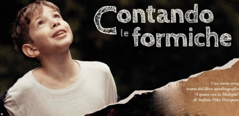 Contando le formiche: Guida TV  - TV Sorrisi e Canzoni