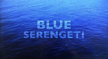 Blue Serengeti: predatori del Pacifico: Guida TV  - TV Sorrisi e Canzoni