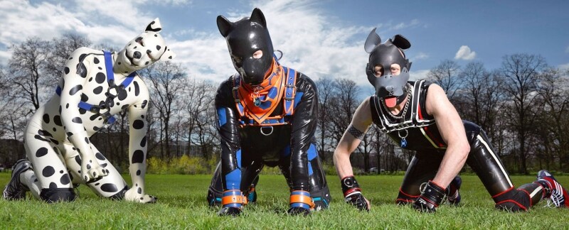 Secret Life of Human Pups: Guida TV  - TV Sorrisi e Canzoni