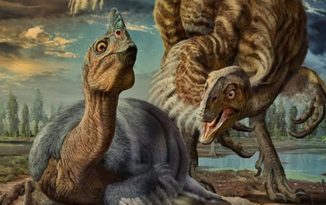 Pianeta dinosauri: Guida TV  - TV Sorrisi e Canzoni
