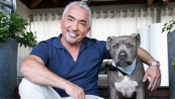 Cesar Millan: Coast to Coast: Guida TV  - TV Sorrisi e Canzoni