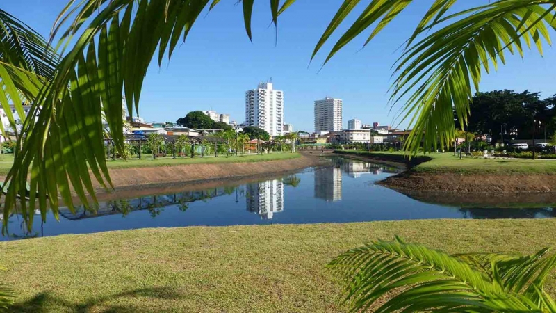 Manaus Giungla Urbana: Guida TV  - TV Sorrisi e Canzoni