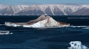 Wild Alaska: Guida TV  - TV Sorrisi e Canzoni