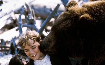 Grizzly Falls - La valle degli orsi: Guida TV  - TV Sorrisi e Canzoni