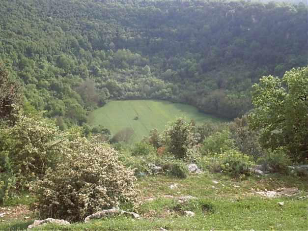Wild Italy: Guida TV  - TV Sorrisi e Canzoni