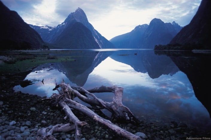 Wild Nuova Zelanda: Guida TV  - TV Sorrisi e Canzoni