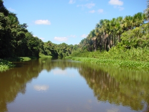 Wild Sudamerica: Guida TV  - TV Sorrisi e Canzoni