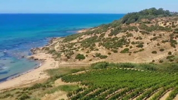L'isola delle donne: Guida TV  - TV Sorrisi e Canzoni