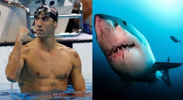 Michael Phelps: la legge degli squali: Guida TV  - TV Sorrisi e Canzoni
