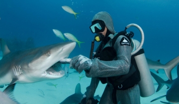 Pianeta Mare: Guida TV  - TV Sorrisi e Canzoni