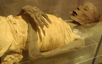 Mummie: lo scrigno dei faraoni: Guida TV  - TV Sorrisi e Canzoni