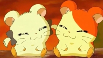 Hamtaro Piccoli Criceti, Grandi Avventure: Guida TV  - TV Sorrisi e Canzoni