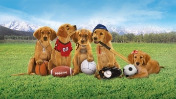 Air Buddies - Cinque cuccioli alla riscossa: Guida TV  - TV Sorrisi e Canzoni