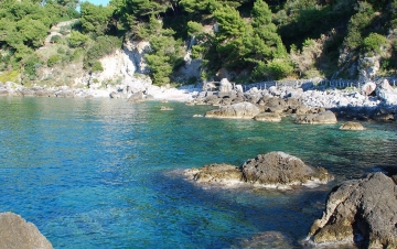 Borghi marini: Guida TV  - TV Sorrisi e Canzoni