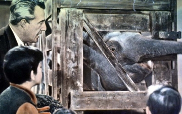 Buongiorno, Elefante!: Guida TV  - TV Sorrisi e Canzoni