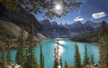 Le Foreste Costiere Del Canada: Guida TV  - TV Sorrisi e Canzoni