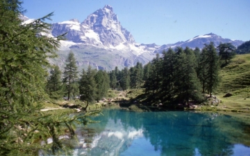 Storie di montagna: Guida TV  - TV Sorrisi e Canzoni