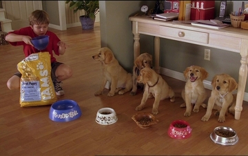 Air Buddies: Guida TV  - TV Sorrisi e Canzoni