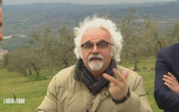 Linea Verde: Guida TV  - TV Sorrisi e Canzoni