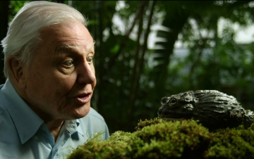 Le strane rane di Sir David: Guida TV  - TV Sorrisi e Canzoni
