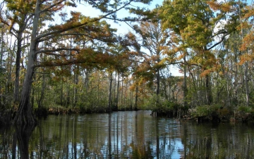 Mississippi - Il Lento Fiume Americano: Guida TV  - TV Sorrisi e Canzoni
