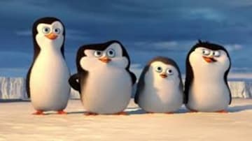 I pinguini di Madagascar: Guida TV  - TV Sorrisi e Canzoni