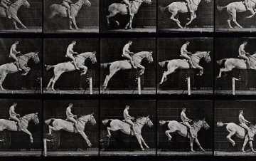 L'assassino nudo (dedicato a E. Muybridge): Guida TV  - TV Sorrisi e Canzoni