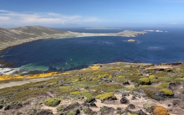 Le Falklands: Guida TV  - TV Sorrisi e Canzoni