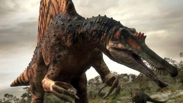 Chi uccise queste enormi creature?: Guida TV  - TV Sorrisi e Canzoni