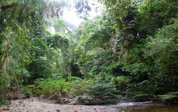 Sulle tracce della natura: Guida TV  - TV Sorrisi e Canzoni