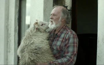 Rams - Storia di due fratelli e otto pecore: Guida TV  - TV Sorrisi e Canzoni