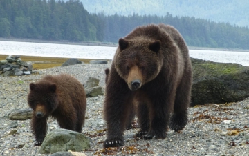 Alaska: Guida TV  - TV Sorrisi e Canzoni