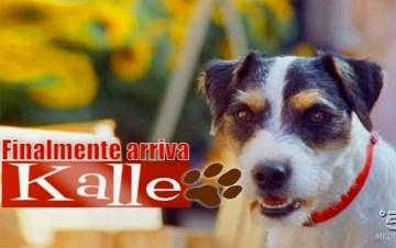 Il nostro amico Kalle: Guida TV  - TV Sorrisi e Canzoni