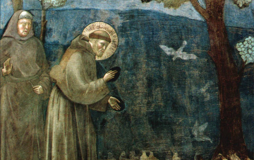 Nel deserto di San Francesco: Guida TV  - TV Sorrisi e Canzoni