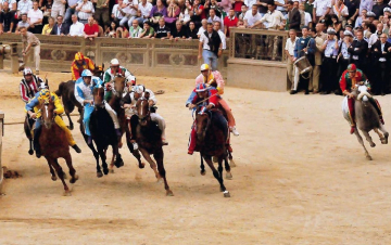 Il Palio di Siena - 2 Luglio 2018: Guida TV  - TV Sorrisi e Canzoni