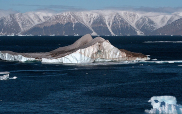Alaska: Guida TV  - TV Sorrisi e Canzoni