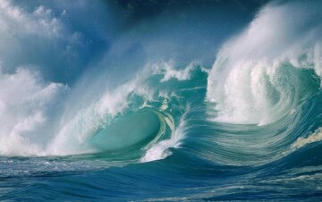 I Grandi Oceani Selvaggi: Guida TV  - TV Sorrisi e Canzoni