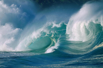 I Grandi Oceani Selvaggi: Guida TV  - TV Sorrisi e Canzoni