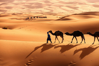 I segreti del deserto: Guida TV  - TV Sorrisi e Canzoni