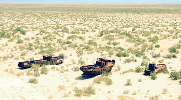 I Segreti Del Deserto: Guida TV  - TV Sorrisi e Canzoni