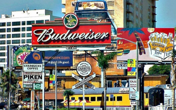 Sunset Strip: Guida TV  - TV Sorrisi e Canzoni