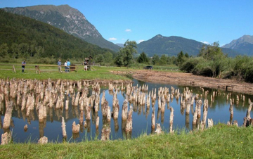 Siti italiani del Patrimonio Mondiale Unesco: Guida TV  - TV Sorrisi e Canzoni