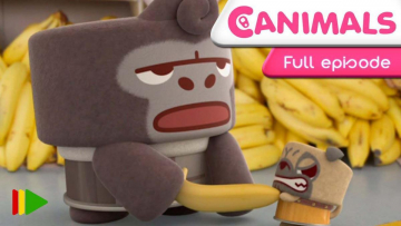 Canimals: Guida TV  - TV Sorrisi e Canzoni