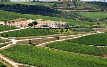 Le grandi famiglie del vino: Guida TV  - TV Sorrisi e Canzoni
